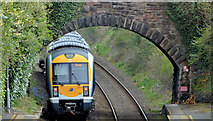 J4079 : Train and bridge, Marino, Holywood by Albert Bridge