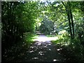 Picnic place on the Brunel Trail