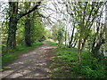 The Thames Path leaving Staines