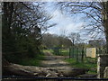 Track (footpath) towards Felledge Farm