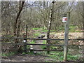 Footpath towards Nettlesworth Hill