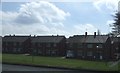 NZ2651 : Houses on Eleventh Avenue, Chester-le-Street by JThomas