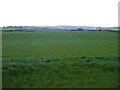 Farmland, Grange Terrace