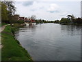 The River Thames approaching Old Windsor