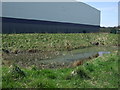 NZ2653 : Small pond, Drum Industrial Estate by JThomas