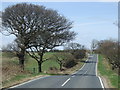 Birkland Lane heading north 