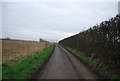 Road south of Pleasant View Cottages