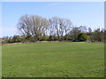TM3876 : Basley Park, Halesworth by Geographer