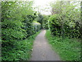 The Thames Path at Dorney Reach