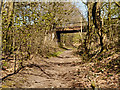 Haigh Country Park, Bridge over Disused Railway