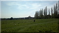 View of houses on Bryony Close from the turning circle outside Epping Forest College