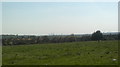 View of Canary Wharf and houses on Colson Road from the turning circle outside Epping Forest College