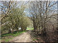 The path at Washbrook Farm