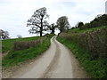 A lane to Hawkesbury