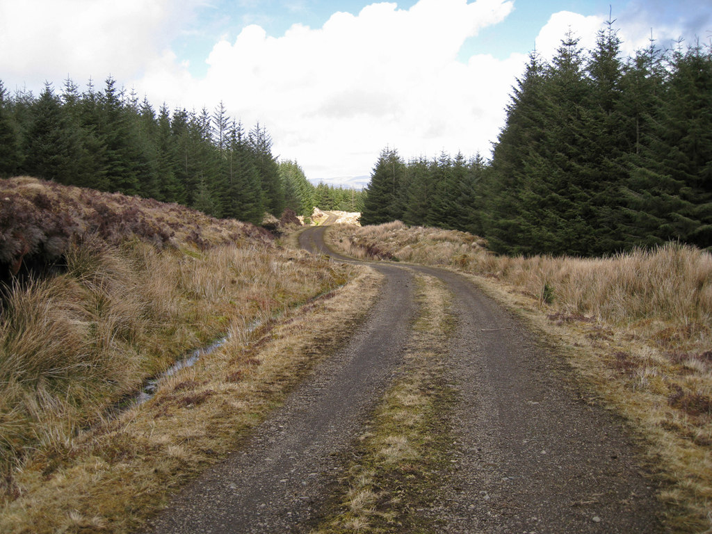 Forest Track © Richard Dorrell Geograph Britain And Ireland