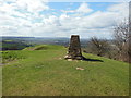 SO8208 : The Trig Point on Ring Hill by Ian S