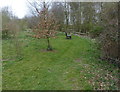 Bench and woodland near Dunton Bassett