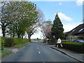 Smithy Lane looking east