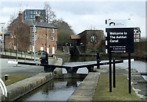 SJ8598 : The Ashton Canal by Thomas Nugent