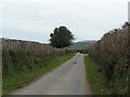 On the National Cycle Route 274, looking north