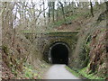 Shaugh Tunnel (northern entrance) on the National Cycle Route 27