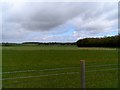 TL2817 : Farm land near Bramfield Woods by Bikeboy