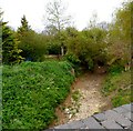 Dry stream bed (Dane End Tributary)