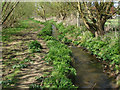 Brook by the path