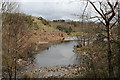 Pond at King Edward