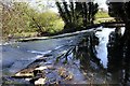 SJ3557 : River Alyn Weir at Rossett by Jeff Buck