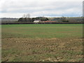 Over  fields  to  Tuft  House  Farm