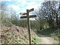 A cross road of paths on Cam Long Down