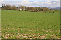 Arable land near Penrhos