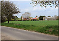 View towards Home Farm, Strumpshaw