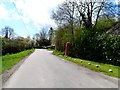 Street in Anstey with phone box