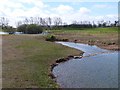 Marfield Wetlands