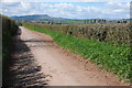 Country road near Nantyderri Farm