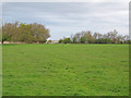 Fingringhoe Ranges