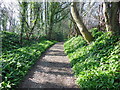 The Cotswold Way towards North Nibley