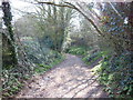 The Cotswold Way towards Nibley Knoll