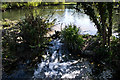 Waterfall, Priory Pond