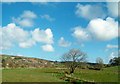 The upper reaches of the Forkhill Valley