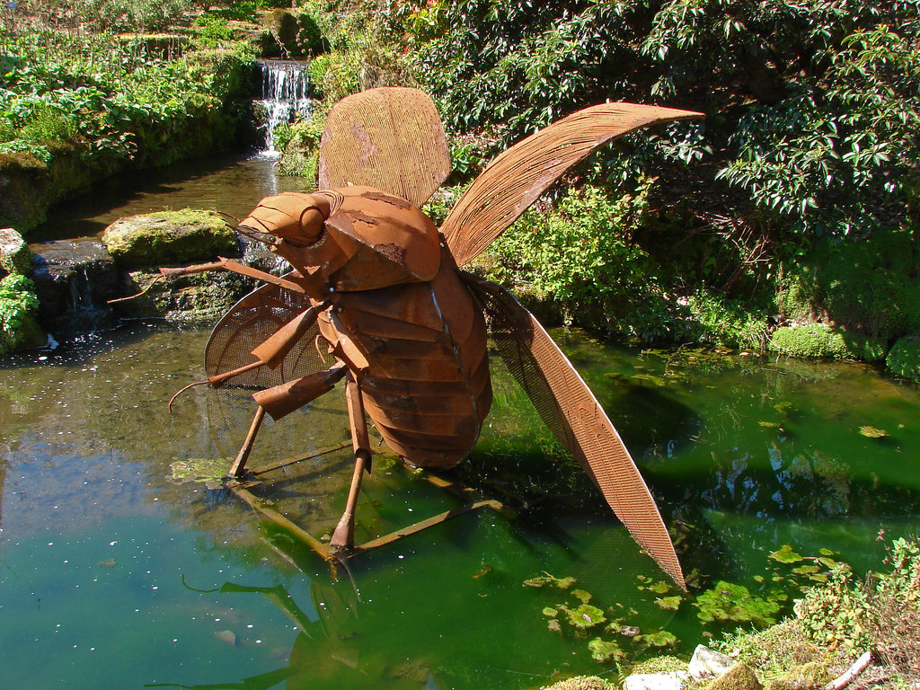 wakehurst-place-don-t-bug-me-alan-hunt-geograph-britain-and-ireland