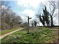 The Cotswold Way leaves Blackquarries Hill