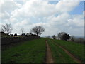 The Cotswold Way at Winterspring Lane