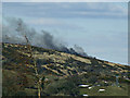 Hill fire above Greenock