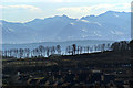 Arran from Idzholm Hill