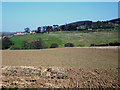 Arable land near Amersidelaw