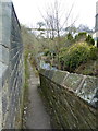 River side walk, Trawden