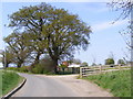 TM2574 : Lane at Manor Farm entrance by Geographer
